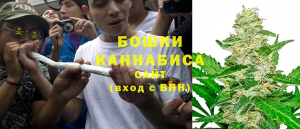 стаф Абаза
