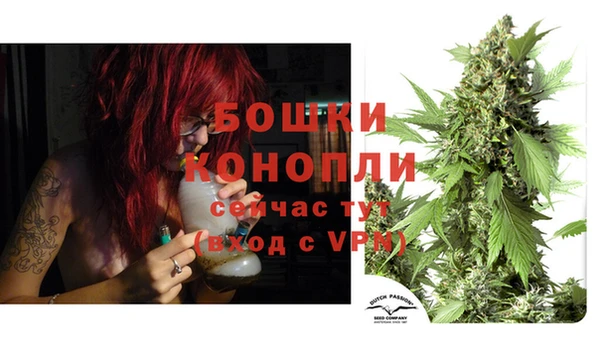 дурь Пересвет