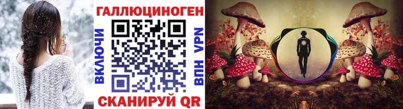 Галлюциногенные грибы Psilocybe Невельск
